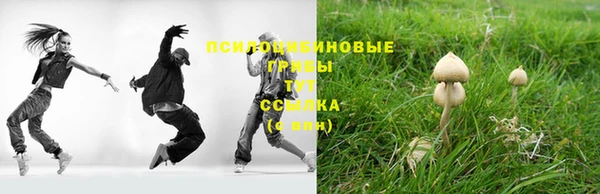 трава Абинск